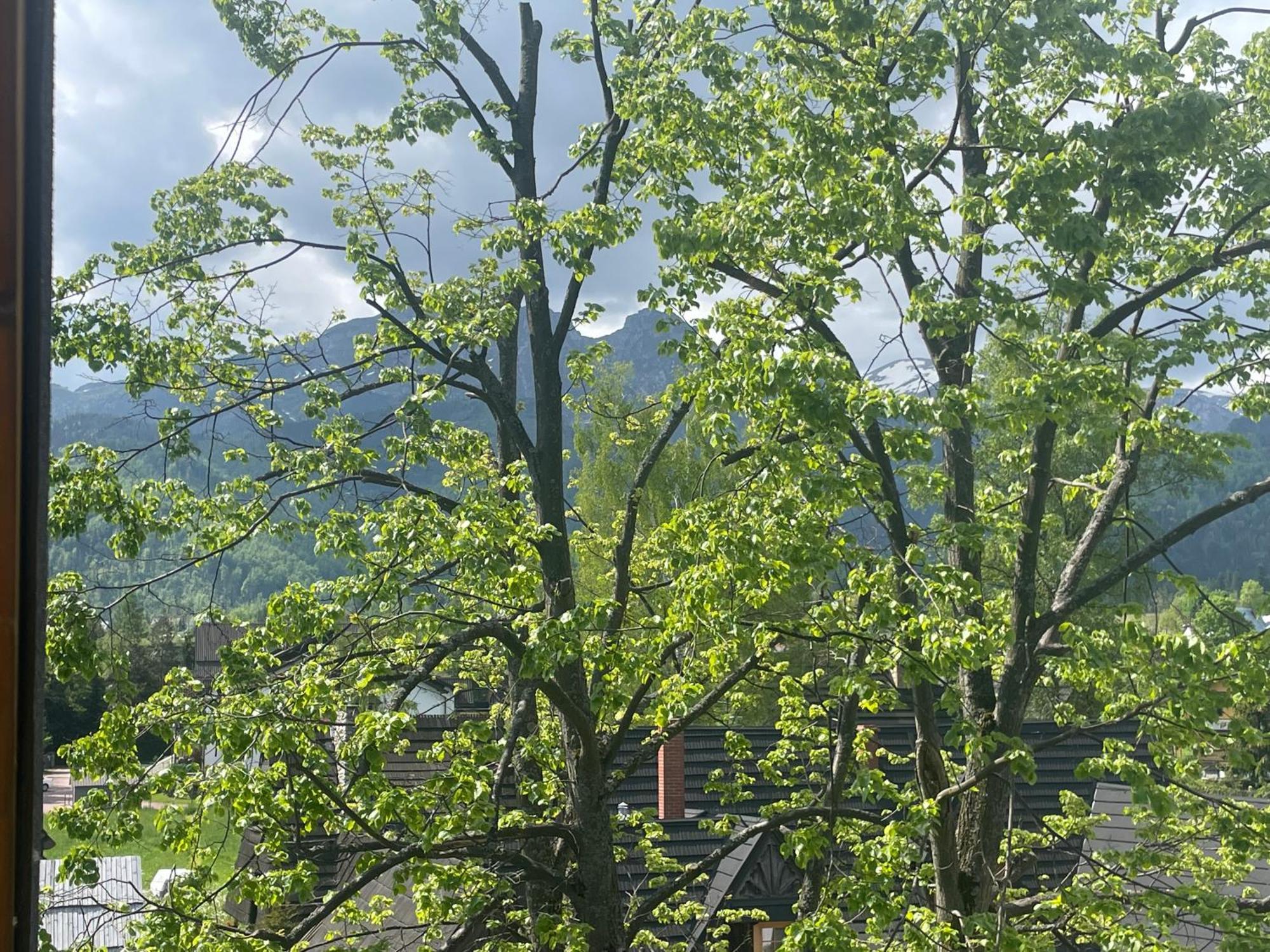 Apart-Center Zakopianskie Tarasy Spa Zakopane Exterior foto